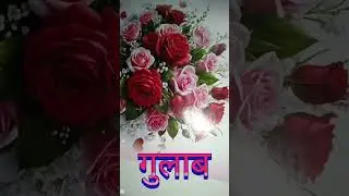 Rose 🌹 meaning in Hindi / rose ka hindi kiya hai