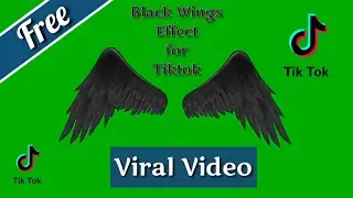 Wings Green Screen Free |2021|New