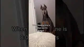 When feeding time is 8:00 but it's 8:01