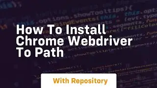 how to install chrome webdriver to path
