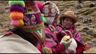 Healing Blessing from the Shamans of Peru: What is a Despacho Ceremony?