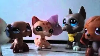 Ma vie en mieux Série LPS : ep 2    S.1