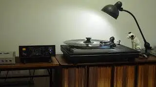 Must You Go! / Tony Mottola's Dance Rhythms