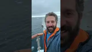 Yooo!!! Bubble net Feeding Humpback Whales in Antarctica
