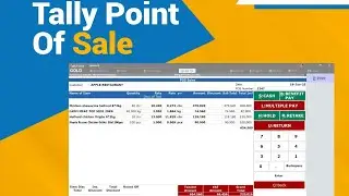 Tally POS Module
