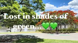 Shade, sunshine, and a little bit of magic..Finding peace in the simple scenes..