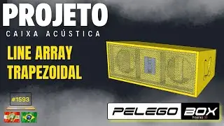 #1593 CAIXA LINE ARRAY PROFISSIONAL 2X 8