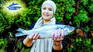 КАК ПРИГОТОВИТЬ МОЛОЧНУЮ РЫБУ | с орехово-гранатовым соусом