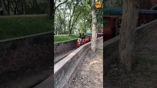 Best place to visit near Ahmedabad, sector 28 garden, Gandhinagar-Ahmedabad 📍 #garden #gandhinagar