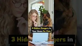 3 Hidden Dangers in Your Home for Pets 🐾 | Pet Safety Tips