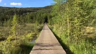 По дороге на Алясау liard river hot springs