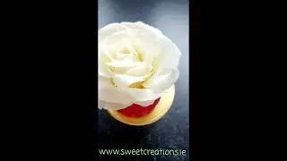 Chocolate Rose