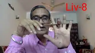 Liver Meridian(Liv-1 to Liv-14)