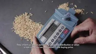 Linking food security to market access for Cambodian villagers