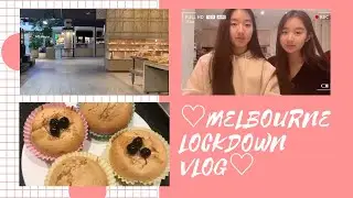 Melbourne Lockdown Vlog (University, My Business, Baking etc.) || Sally Te