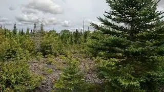 WHERE TO Explore Old Gold Mining Sites in Nova Scotia