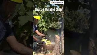 Royal Kissan Agro Chainsaw Demo 🔧 कैसे इस्तेमाल करें | Setup & Usage Steps on Chainsaw Machine