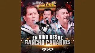 Frontera De Texas (En Vivo)