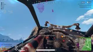PUBG roadkill