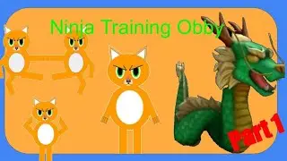 Ninja Training With Dragon Wifi & FTG | Part 1 | 3 Washingtons