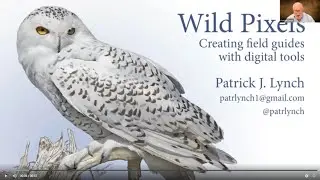 RTPI bird program May 26, 2021: Patrick Lynch 