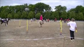 Danmarksmestre i Ponygames 2014 Finale