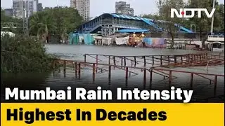 Mumbai: Rain Reduces, Transport Services Resume