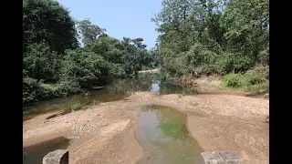 Exploring Chattisgarh Day 2 | Indravati Tiger Reserve | Self Driven Safari