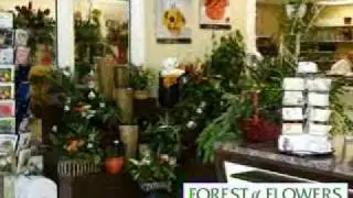 Forest of Flowers - Waterloo