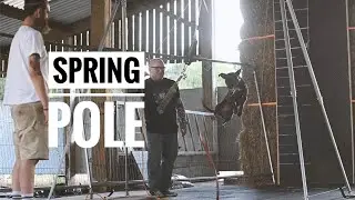 Jay Jack Introducing Beau to Spring Pole