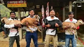 Winter special mutton curry || Bhetki fish curry cooking for village people || Helping Kitchen