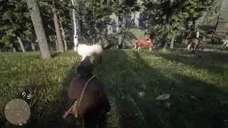 Low honor Arthur