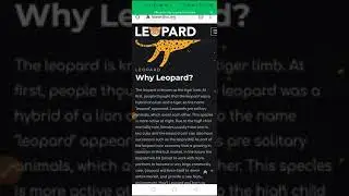 Shin kunsan labarin Leopard token kuwa...?