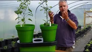 How to use Duogrow Holiday Planter from Greenhouse Sensation