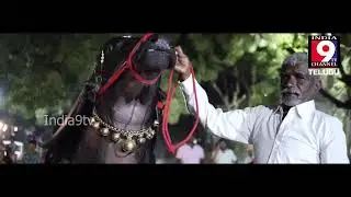 Sadar Festival in Hyderabad - 2019 India9tv