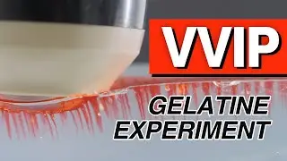 [DoubleTite] VVIP(Vertical Vibration Infusion Probe), regurgitation test, gelatin experiment (1)