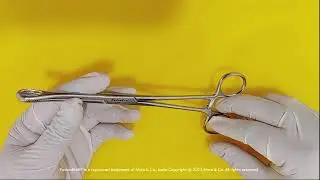 FusionKraft&trade; Foerster Surgical Sponge Holding Forceps, Serrated, Fenestrated, Straight, 8