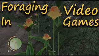 Foraging Wild Plants In Video Games???