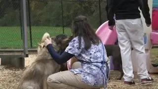 Welcome to Riverside Veterinary Hospital