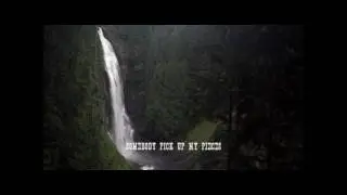 Willie Nelson - Somebody Pick Up My Pieces (Music Video)