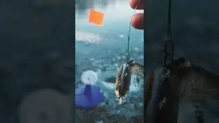 Искусственный живец против настоящего! Кто победит?