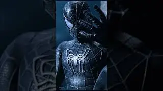 Black spiderman 4k WhatsApp status