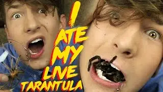 Eating A Live Tarantula!