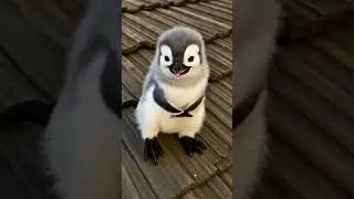 penguin dancing like pro..#penguin#cute