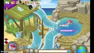 Animal Jam NEWS