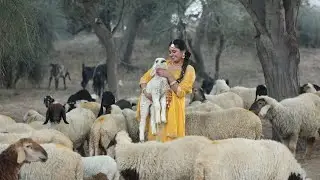 ❤️Dhiyan ❤️ Best Song 2026 💗Lakhi Sidhu💗