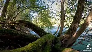 Beautiful oasis of peace and calm
