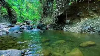 Mountain Stream Water Ambience, Forest River Flow, Sleep