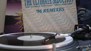 The Ultimate Seduction - Organ Seduction - 10