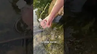 Purify 1 Gallon of Dirty Water in Emergencies &ndash; On Discount!